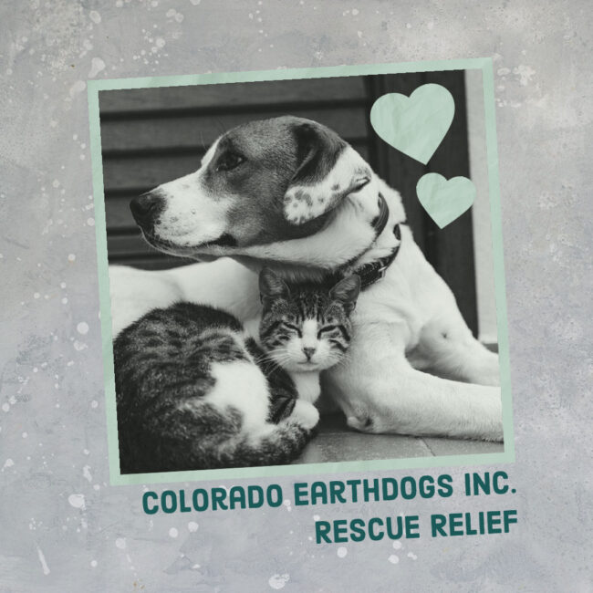 A dog and a cat cuddled together with hearts above their heads. Colorado Earthdogs Inc. Rescue Relief