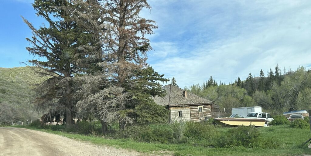 The driveway at 12 Paws ranch on the left and an abandoned cabin and boat on the right.